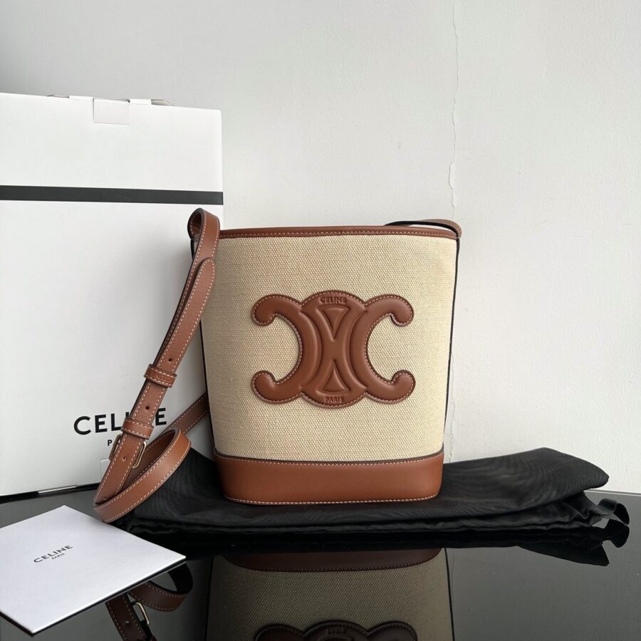 Celine Triomphe bag – front view